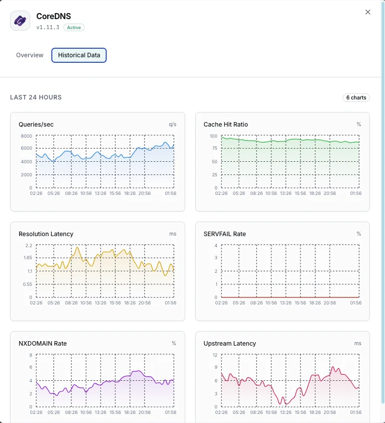 DNS analytics