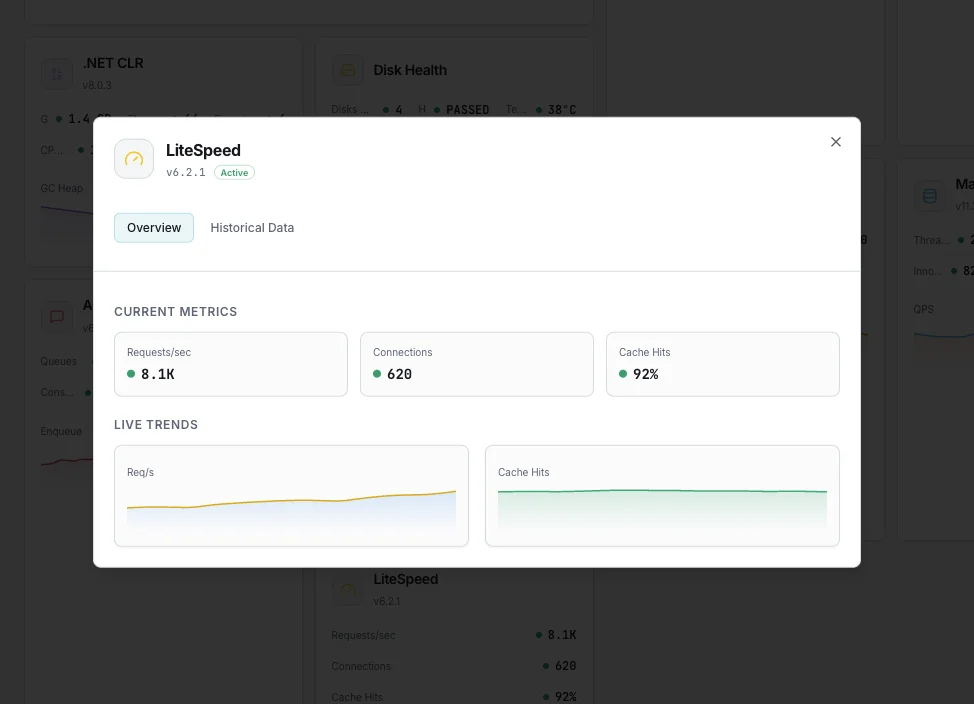 LiteSpeed monitoring dashboard