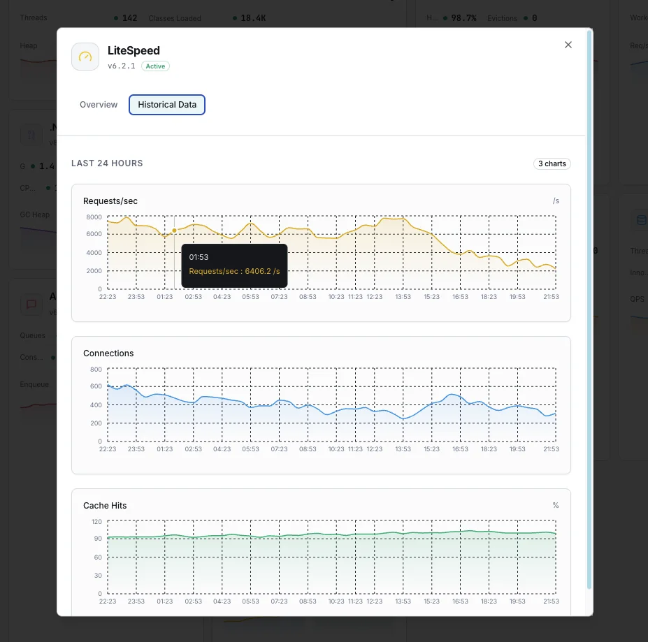 LiteSpeed cache performance analytics