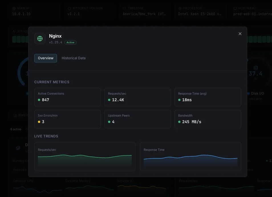 Nginx monitoring dashboard with real-time metrics