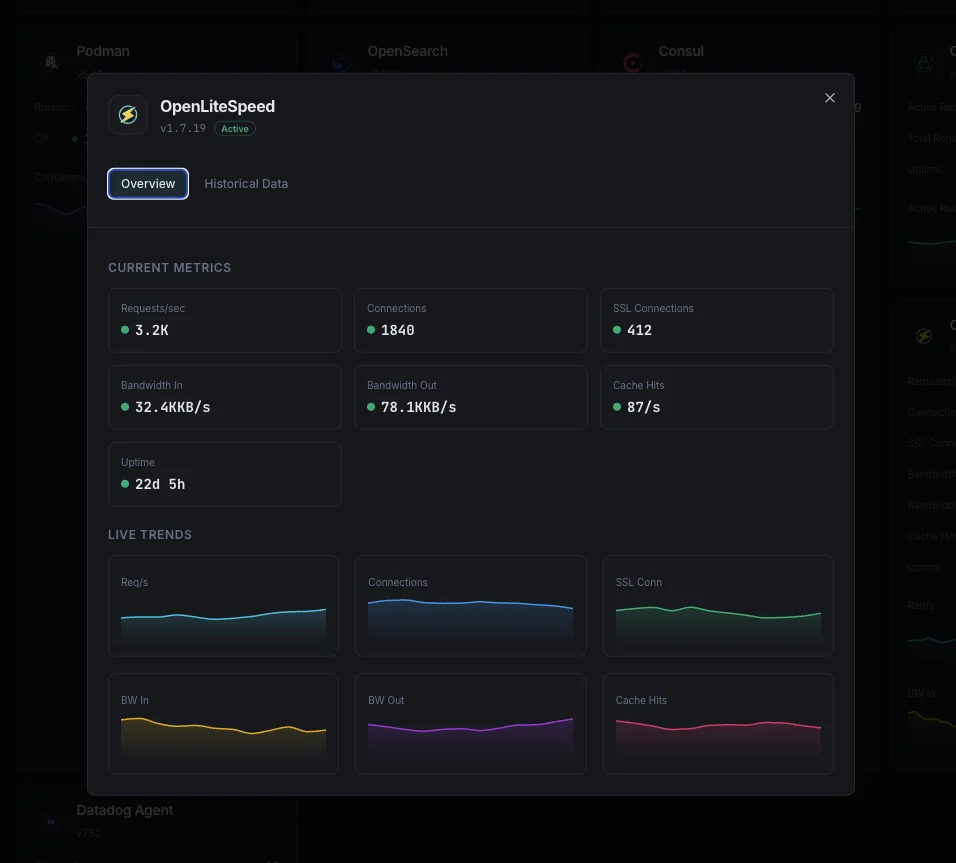 OpenLiteSpeed monitoring dashboard