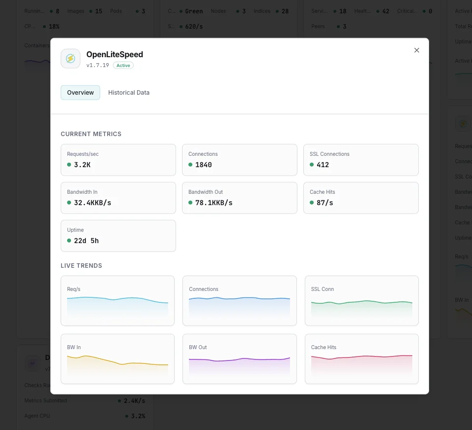 OpenLiteSpeed monitoring dashboard
