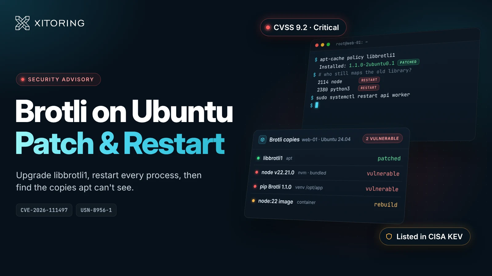 CVE-2026-111497: Patch the Brotli Bug on Ubuntu