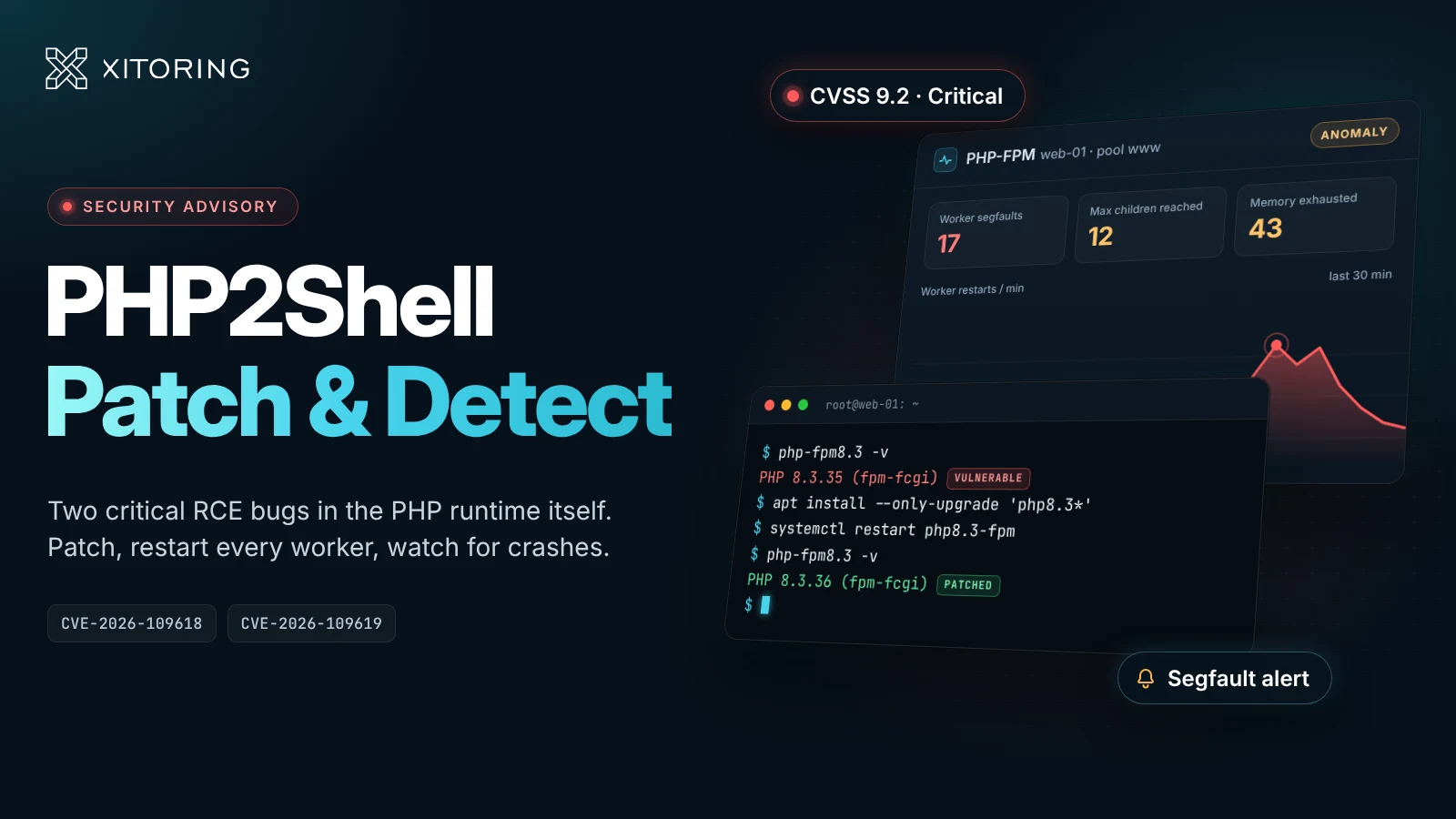 PHP2Shell: Patch and Detect the PHP RCE Bugs