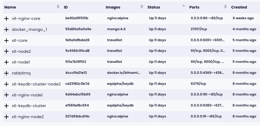 Ausgabe von docker ps mit laufenden Docker-Containern