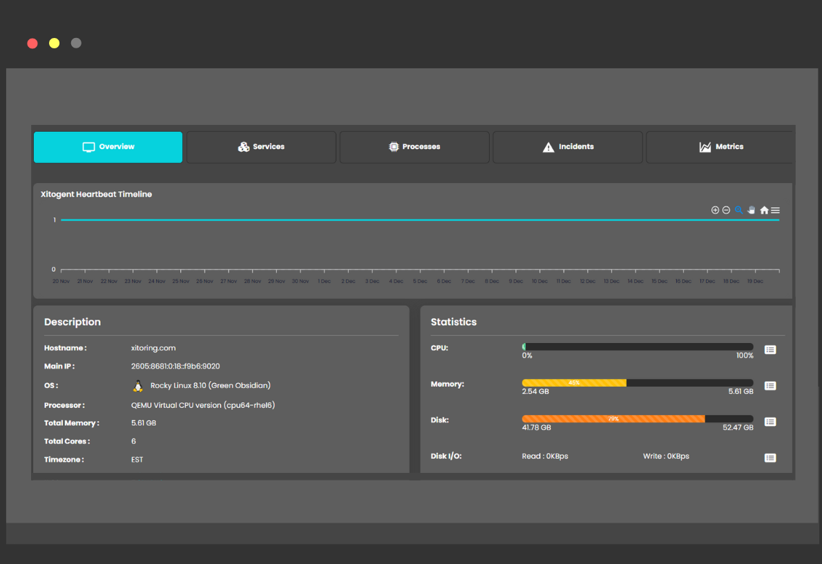 La dashboard di panoramica del server mostra la timeline dell'heartbeat, le statistiche del server e le specifiche del sistema, tra cui l'utilizzo di CPU, memoria e disco.